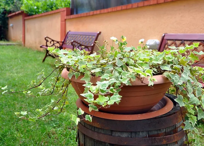 Apartman Suitable Summer Pula