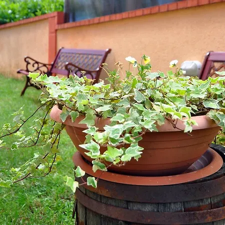 Daire Suitable Summer Pula